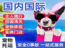 稻城亚丁航空快运国际宠物托运 【国